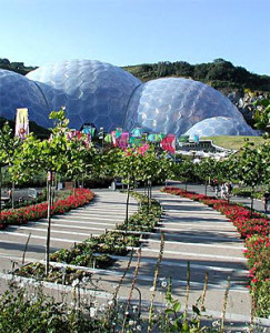 Eden blossoms under Brussels roof